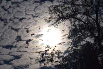 The vast blue sky and clouds sky