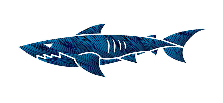 Shark swim graphic vector