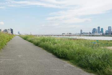 淀川河川敷