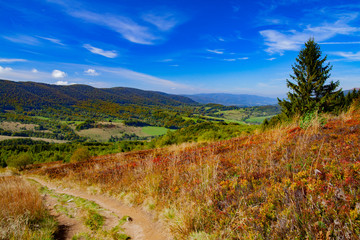 Fototapeta premium Landscape of autumnal peaks of the Carpathians.