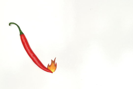 Hot chilli pepper isolated on white background. 