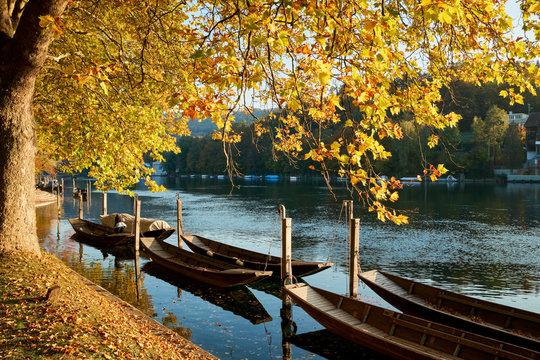 Holzboote, Weidlinge am Rheinufer bei Schaffhausen