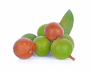 macadamia nuts isolated on white background