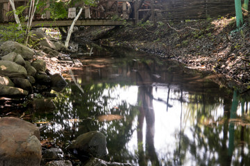 Small water pond in a forest with reflection of trees.