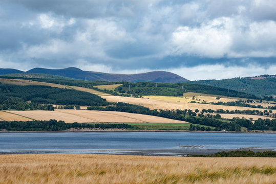 Blick über reife Gerstenfelder über den Cromarty Firth zur Black Isle