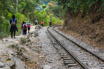 Backpackers walk through the jungle by the train tracks towards Machu Picchu, Peru