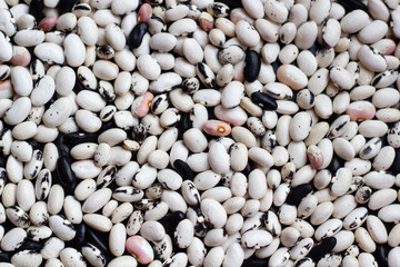 Dry beans for cooking as food background drop. Beans are a natural protein source and ingredient for many dishes. Top view.
