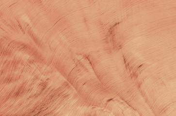 wood texture background surface with old natural pattern