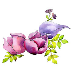Fototapeta premium Pink purple flowers. Floral botanical flower. Isolated bouquet composition. Watercolor background illustration set.