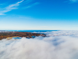 Obraz premium Aerial view over forest during vibrant autumn colors. Aerial view of seashore and clouds. Coastline with sand and water. Aerial drone view of forest. Aerial top view cloudscape. Texture of clouds.