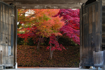 弘前城の紅葉　二の丸南門　
