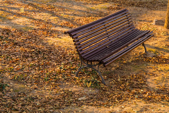 Banco de jard&iacute;n debajo de los arboles