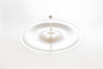 drop created splash with circle ripple