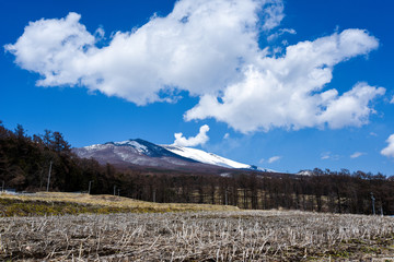 収穫の終わった蕎麦畑と雪をかぶった浅間山