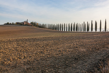 Traditional Tuscany landscape with cypress trees and farmhouse in morning sunlight, Italy