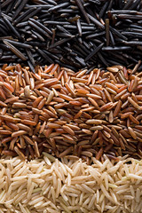 Assorted rice varieties, wild, camarge and white