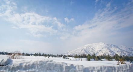 Fototapeta na wymiar road with snow wall to mount tateyama in japan