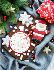 hot chocolate with marshmallows and gingerbread cookie on a grey scarf