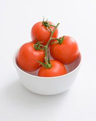 Tomatoes in bowl