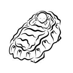 Baby Jesus sleeping in the manger, Christmas, black pattern