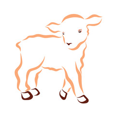 Cute fluffy lamb, wavy contour, small animal