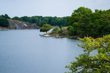 Fototapeta premium Swedish Summer