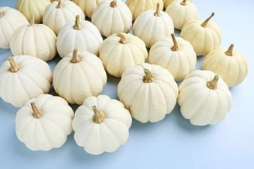 White pumpkins background.
