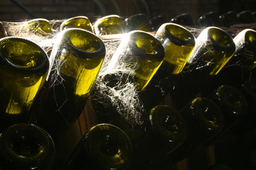 Bottles of wine with Spider web