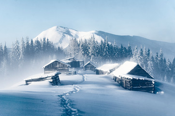 Cold Christmas morning high in the Carpathian mountains.