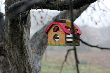 Birdhouse on a tree
