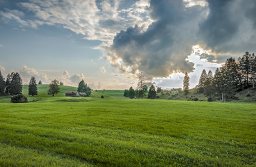 Fototapeta na wymiar Landscape of green pasture land in southern Bavaria, Germany