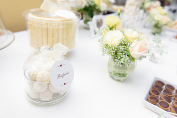 Coconut pralines on the candy bar