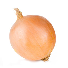 One whole fresh bulbs of onion isolated on a white background