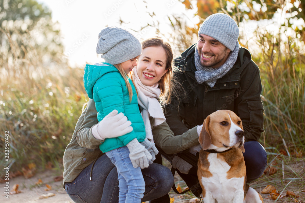 Wall mural family, pets and people concept - happy mother, father and little daughter with beagle dog outdoors in autumn