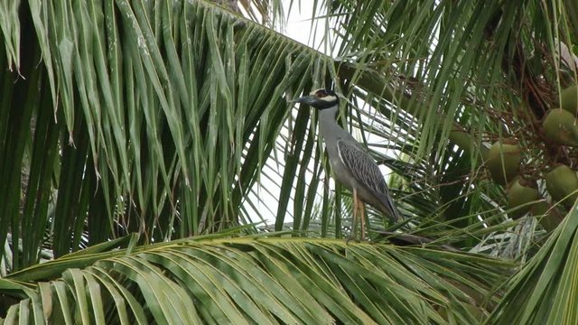 รูปภาพPorvenir เลือกดูภาพถ่ายสต็อก เวกเตอร์ และวิดีโอ534 Adobe Stock