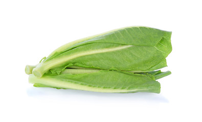 green cos isolated on white background