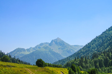 Fototapeta premium Picturesque natural sunny landscape of green alpine meadows