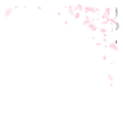 7441828 Sakura petals falling down. Romantic pink flowers