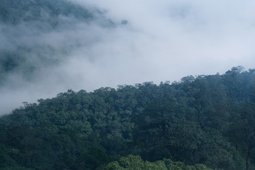 Landscape view from tropical forest with foggy during rainy season.