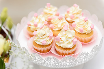 Cupcakes on a candy bar