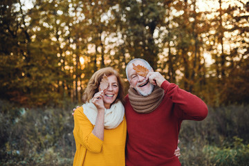 A senior couple standing in an autumn nature at sunset, covering eyes with leaves.