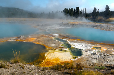 Steam pools at Yellowstone National park, Wyoming, USA