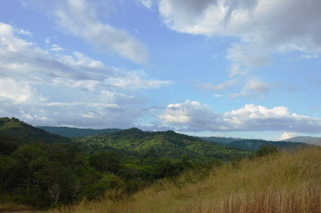 landscape of grass flower field blowing from wind on Khao Lon mountain in Thailand