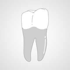 Tooth isolated flat vector image
