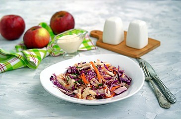 Coleslaw of red and white cabbage, carrots and apples in a white plate. Served with dressing of mayonnaise, sour cream and apple juice. Healthy food.