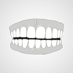 Tooth isolated flat vector image