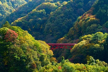 松川渓谷の紅葉と高井橋を望む