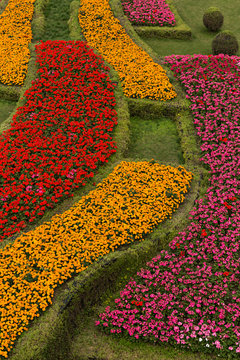 Jard&iacute;n con setos de flores.