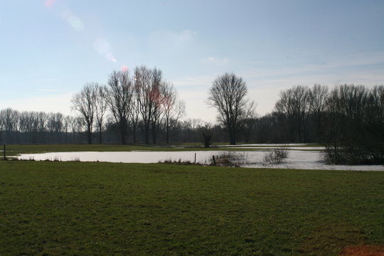 Winter in der Siegaue