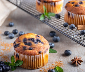 Blueberry muffin over a stone table, consumer view 